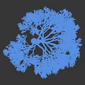 Snow Covered Tree with White Snowy Branches Against Dark Background in Winter Scene