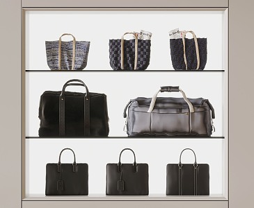 Modern Handbag Briefcase Luggage 3d model