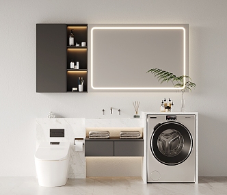 Modern bathroom cabinet toilet washing machine combination 3d model