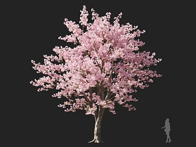 Beautiful Tree with Pink Blossoms and Little Girl Silhouette in Natural Scene 3d model