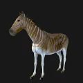 Detailed Zebra Head And Neck With Brown Stripes Against Gray Hexagonal Background