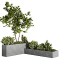 Modern Concrete Tree Planter With Green Tree And Lush Shrubs