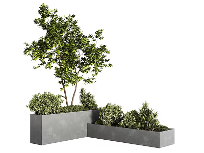 Modern Concrete Tree Planter With Green Tree And Lush Shrubs 3d model