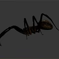 Artistic Long Legged Spider Sculpture With Decorative Intricate Details On Gray Background