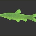 Modern Fish Pencil Fish Fish 3d model