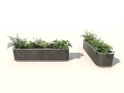 Stylish Rectangular Garden Planters With Green Ferns And Leafy Plants 3d model
