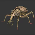 Giant Beetle With Textured Shell Long Snout And Multiple Legs On Dark Reflective Surface 3d model