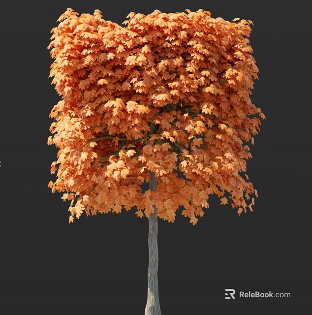 Arbor With Vibrant Orange Red Leaves And Gray Trunk In Autumn Scenic View 3d model 