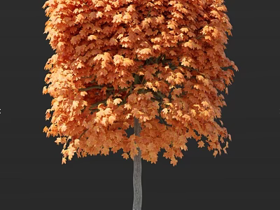 Arbor With Vibrant Orange Red Leaves And Gray Trunk In Autumn Scenic View 3d model