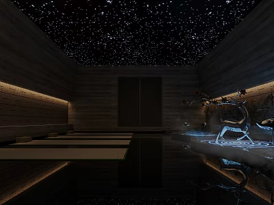 SPA Sauna Interior Design With Starry Ceiling Wooden Walls Lighting Decor And Misty Pool 3d model