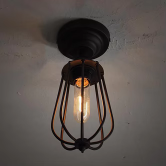 Industrial LOFT ceiling lamp iron ceiling lamp 3d model