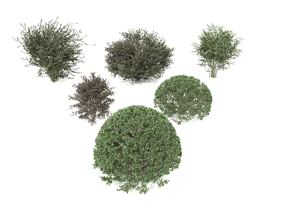Naturally Grown Bushes with Different Shapes Sizes and Green Brown Color Tones 3d model