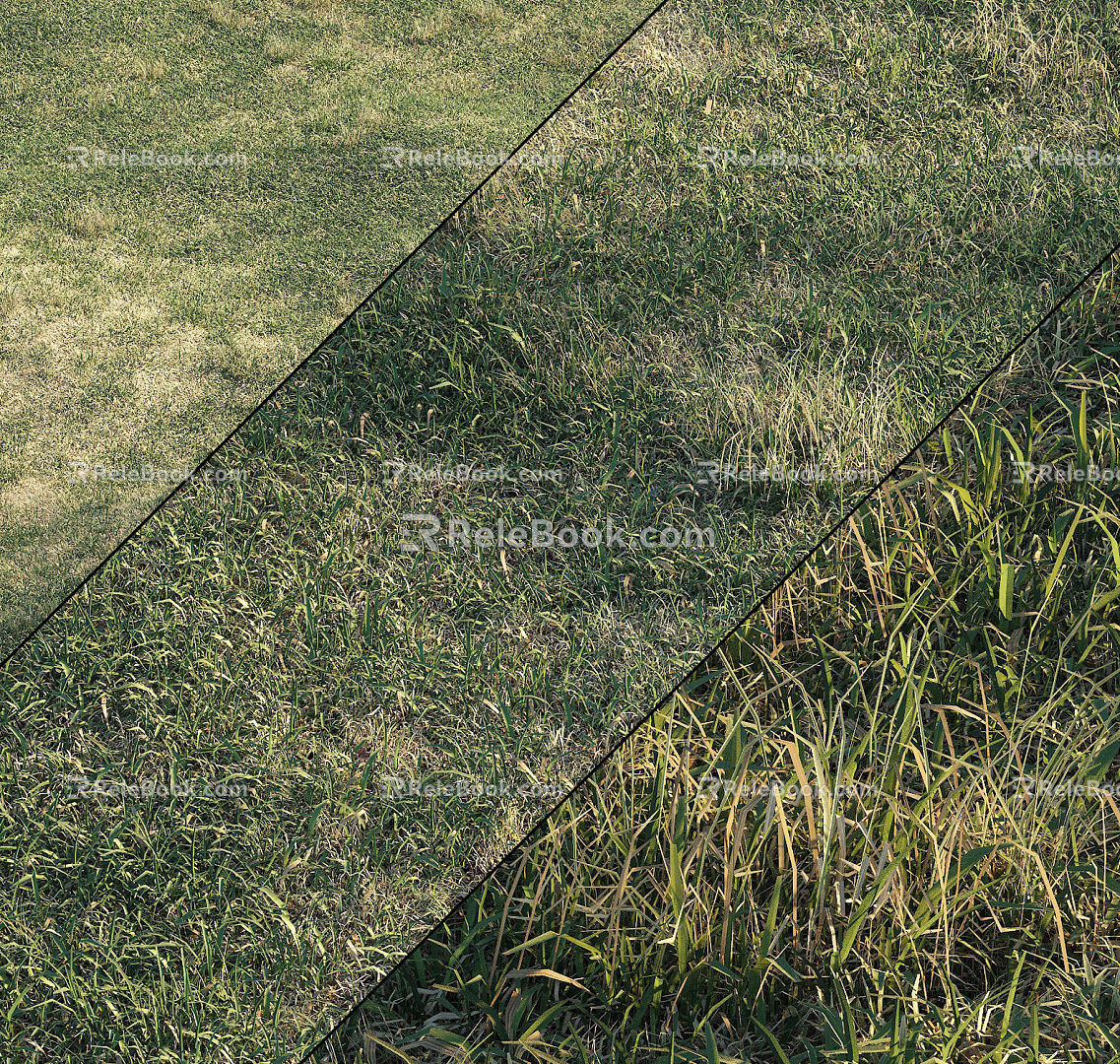 modern grass lawn grass 3d model