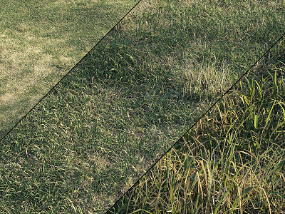 modern grass lawn grass 3d model