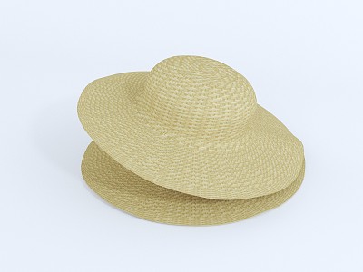 Modern Hat Straw Hat Sun Hat 3d model