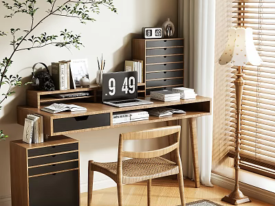 Modern Wooden Desk With Drawers Books Floor Lamp Wicker Chair And Potted Plant 3d model
