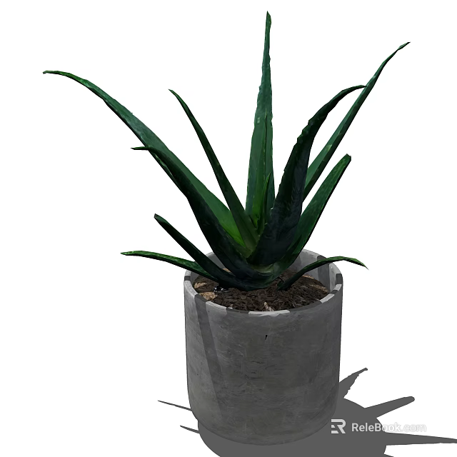 Aloe Vera Potted Plant With Green Leaves In Concrete Pot For Indoor Decor 3d model 
