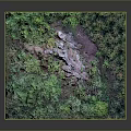 Miniature Natural Landscape Model With Dense Forest Rocky Hill And Various Trees