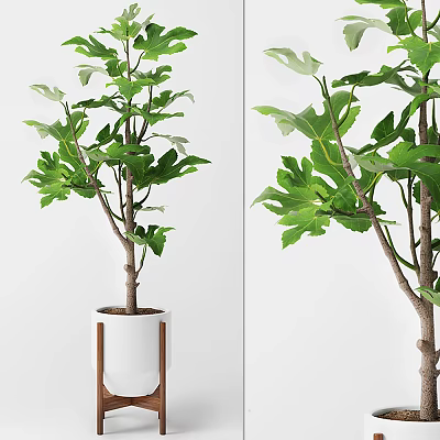 Nordic Potted Plant 3d model