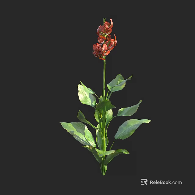 Vibrant Shrub With Red Flowers And Lush Green Leaves In Garden 3d model 