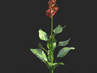 Vibrant Shrub With Red Flowers And Lush Green Leaves In Garden 3d model
