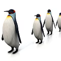 Four Aquatic Penguins Standing in Line with Red Head Yellow Neck and White Plumage