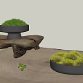 Bonsai Potted Plants With Green Moss On Wooden Tree Stump Display Stand