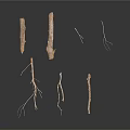 Collection of Natural Wooden Branches In Various Shapes And Sizes On White Background