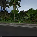Lush Roadside Garden With Palm Trees Green Plants And Red Flowers