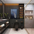 Modern Bathroom Toilet with Dark Wooden Panels Mirror Shelves and Shower Area