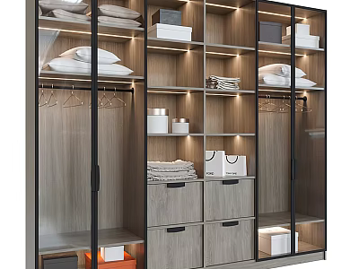 Modern Wooden Wardrobe Interior With Glass Doors Drawers Hanging Rods And Storage Boxes 3d model