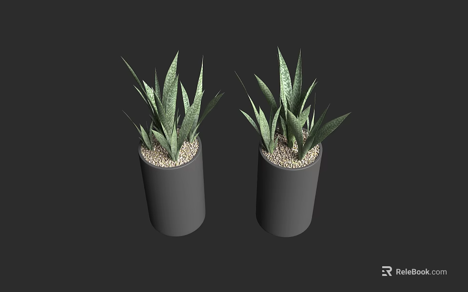 Two Bonsai Potted Plants in Gray Cylindrical Pots with White Pebbles and Green Leaves 3d model 
