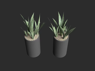 Two Bonsai Potted Plants in Gray Cylindrical Pots with White Pebbles and Green Leaves 3d model
