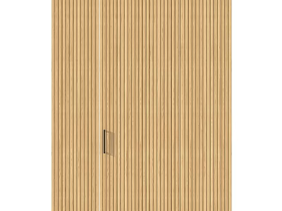 Wooden Hinged Door With Vertical Wood Grain Stripes And Simple Design 3d model