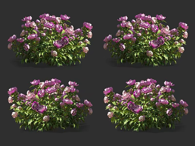 Vibrant Purple and Pink Blooming Flowers With Lush Green Leaves in Four Groups 3d model