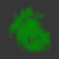 Single Arbor Tree With Lush Green Leaves And Strong Straight Trunk