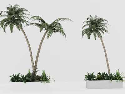 White Tree Planter with Palm Trees and Green Plants in Modern Landscape 3d model