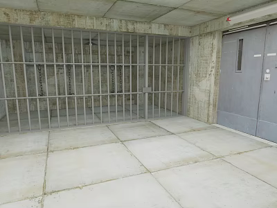 Interior View Of Room With Metal Bars Concrete Walls And Gray Door 3d model