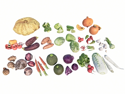 Vegetable combination cabbage pumpkin carrot pepper sweet pepper eggplant cauliflower purple cabbage garlic 3d model