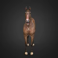 Brown Horse In Standing Posture With Open Mouth On Dark Background