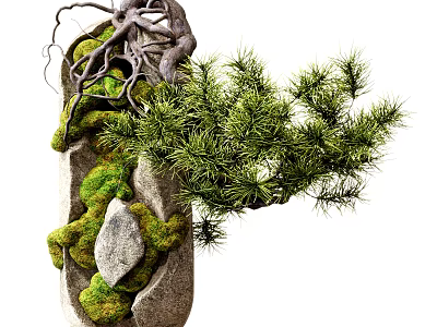 Miniature Pine Bonsai Potted Plant with Exposed Roots Green Moss and Natural Stone 3d model