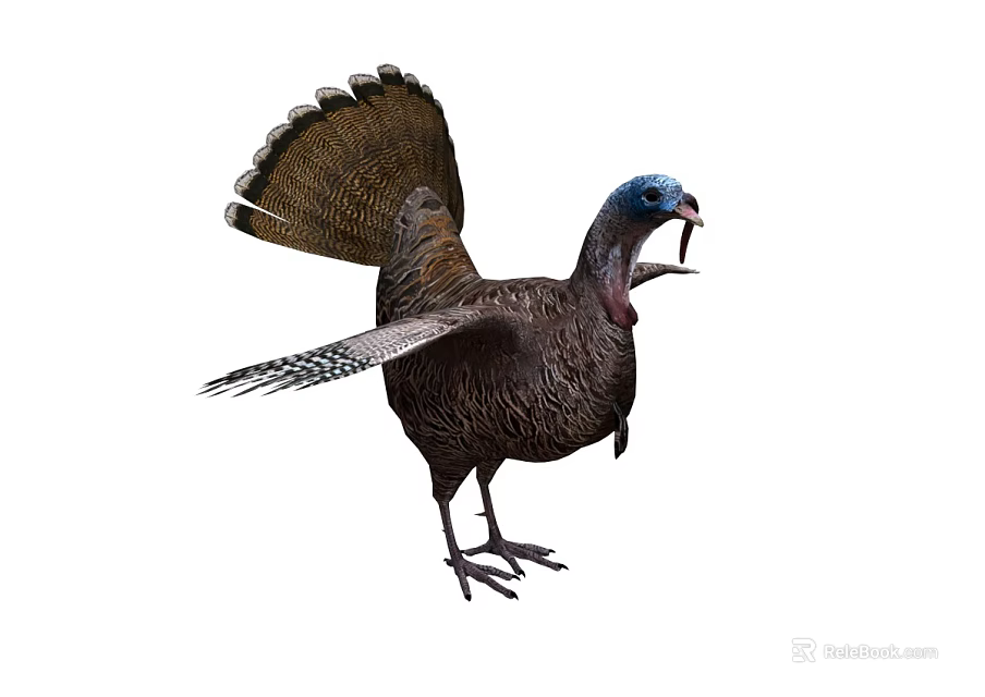 Wild Turkey with Spread Tail Feathers Blue Head Open Beak Detailed Feather Texture Standing Posture 3d model 