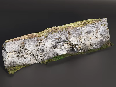 Rockery Stone with Natural Texture Moss Covered Gray Irregular Shape Garden Decor 3d model