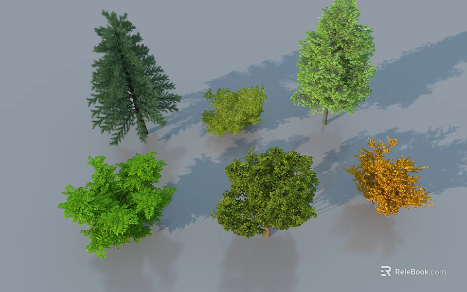 Various Types of Arbor Trees With Different Leaf Colors and Natural Shapes 3d model 