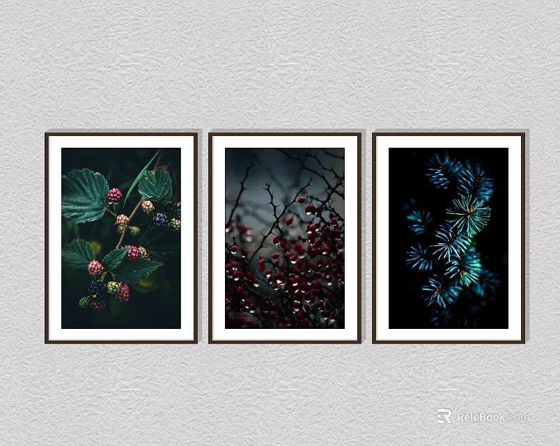 Three Framed Botanical Artworks Featuring Berries Leaves And Pine Needles For Wall Decor 3d model 