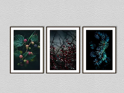Three Framed Botanical Artworks Featuring Berries Leaves And Pine Needles For Wall Decor 3d model