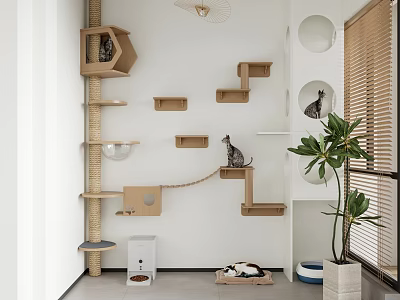 Modern Cat Activity Wall With Climbing Shelves Bed And Green Plant 3d model