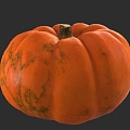 Pumpkin Halloween Pumpkin Pumpkin Pumpkin Rice Pumpkin Pumpkin Halloween Pumpkin Pumpkin Pumpkin Rice 3d model