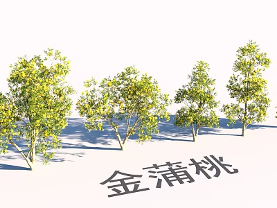 Garden Landscape Design With Golden Penda Trees And Lush Green Foliage 3d model