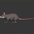 Mouse Wizard Mouse Warlock Cartoon Mouse Animation Mouse Animation Mouse Cartoon Character Cartoon Animal 3d model